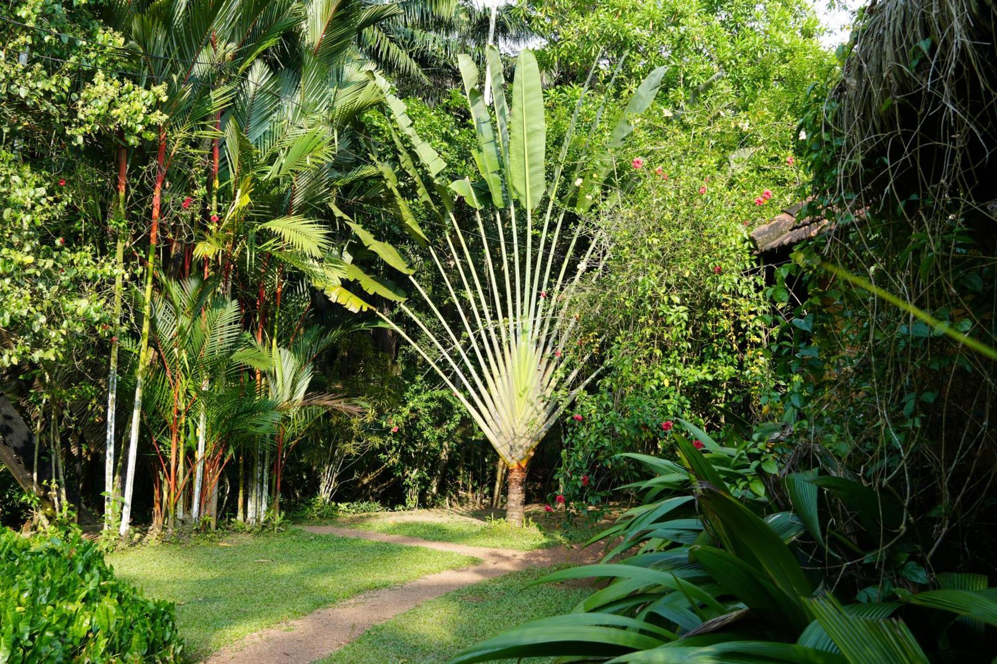Huma Terra Lodges Hikkaduwa Exterior foto