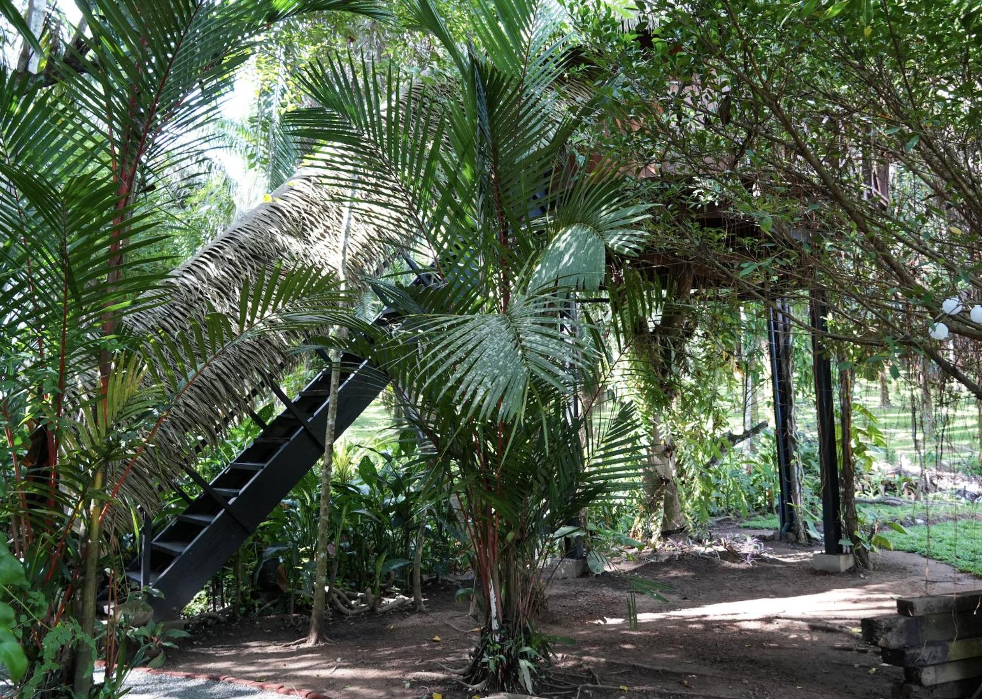 Huma Terra Lodges Hikkaduwa Exterior foto