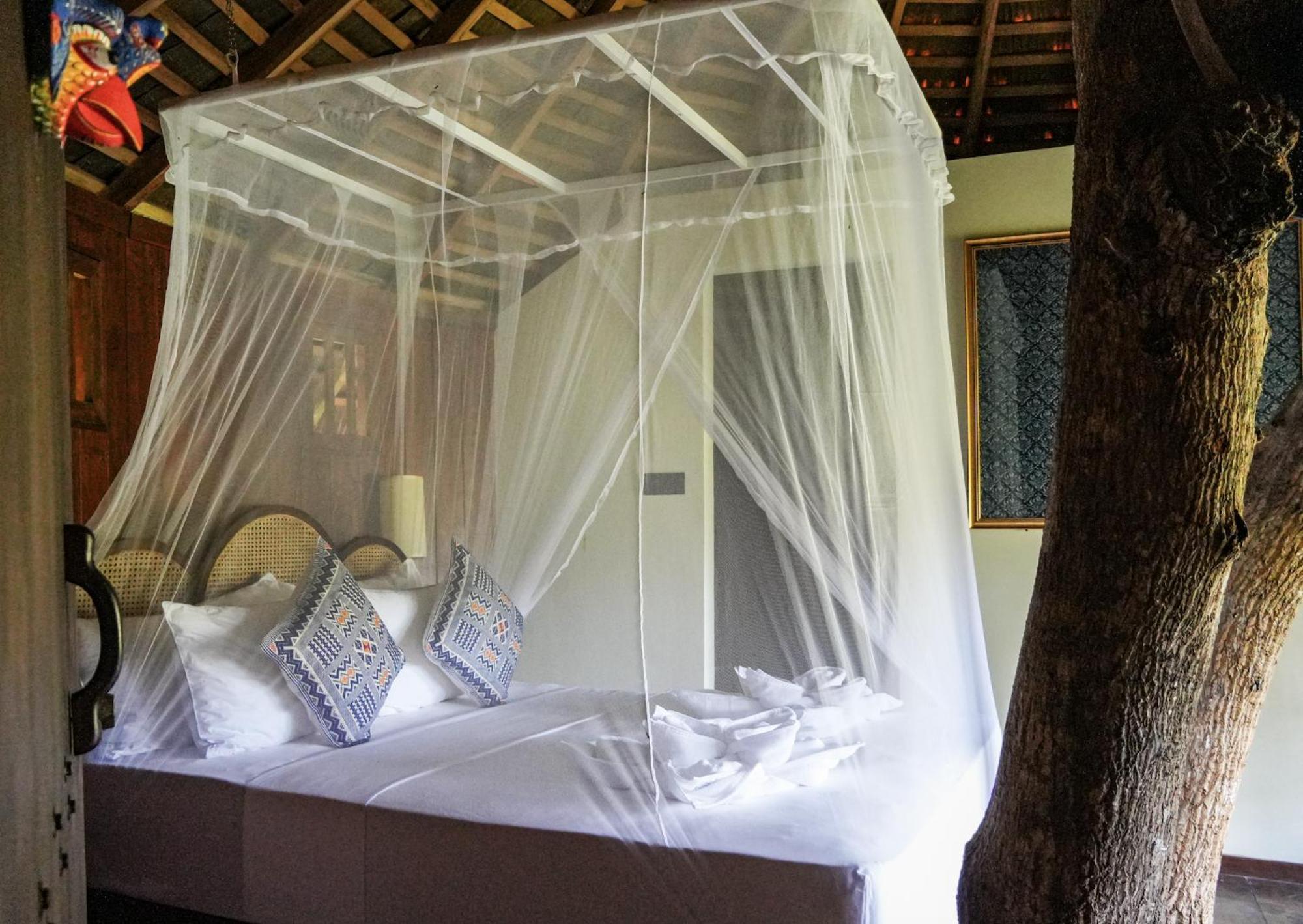 Huma Terra Lodges Hikkaduwa Exterior foto